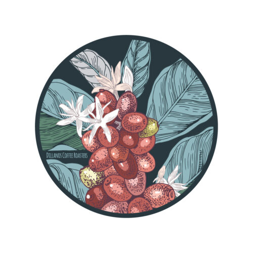 Coffee Cherries Sticker